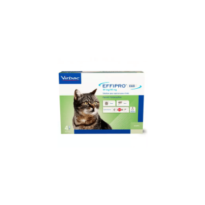 EFFIPRO SPOT ON GATO 4 PIPETAS